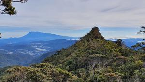 Gunung Sinsing with Kinabalu in background