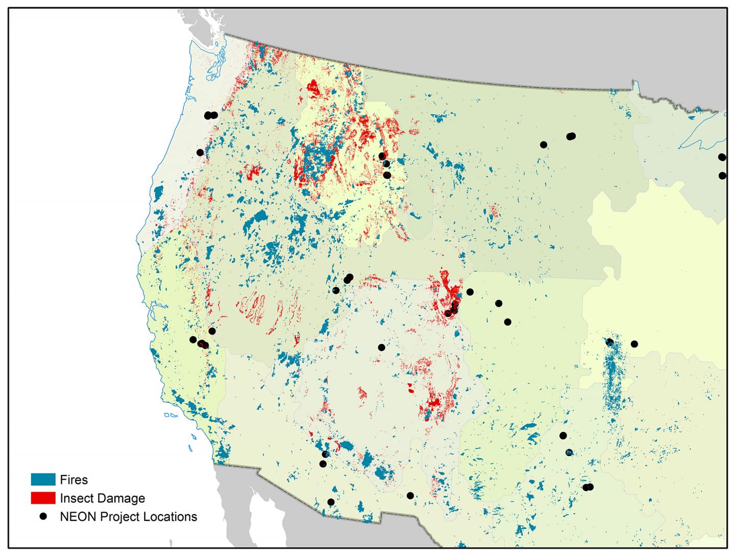 Ecosystem Disturbance Map