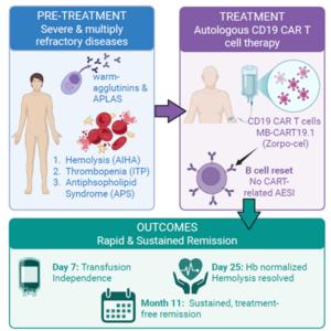 Patient disease and treatment course