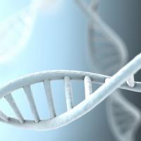 DNA