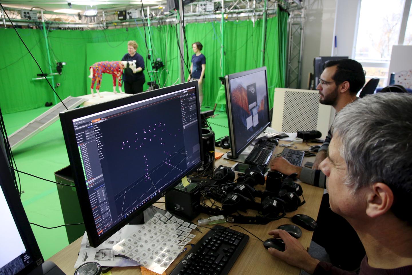 Motion Capture of Dogs
