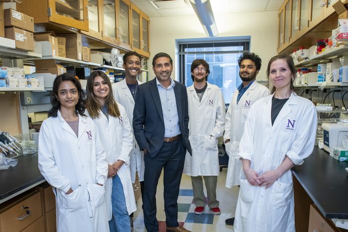 Study senior author Dr. Sachin Patel and colleagues in his lab at Northwestern University Feinberg School of Medicine in Chicago