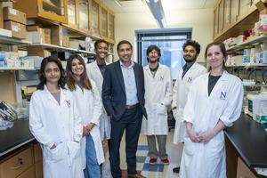 Study senior author Dr. Sachin Patel and colleagues in his lab at Northwestern University Feinberg School of Medicine in Chicago