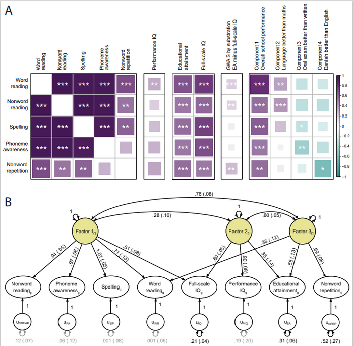 Figure 1. Reading- and language-related traits have a shared genetic architecture that is largely independent of performance IQ.