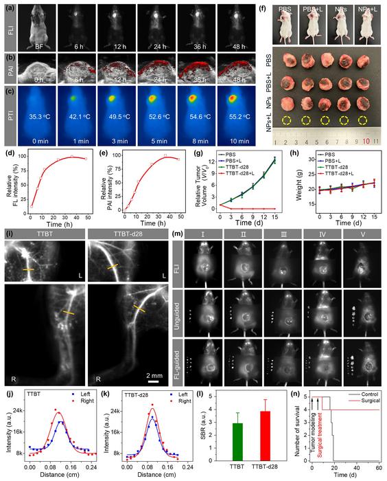 Complete tumor ablation and fluorescence-guided surgery with TTBT-d28 nanoparticles in mouse models