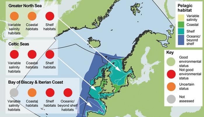 Assessment the status of coastal and open waters