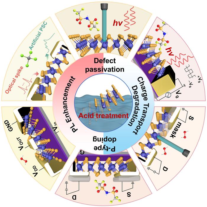 Acid Treatment: A Double-Edged Sword for 2D TMDs.