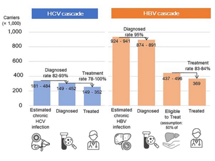 Japan hepatitis management strategy study_2050 projections