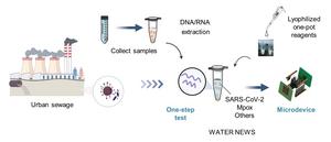 Rapid field detection of pathogens in wastewater