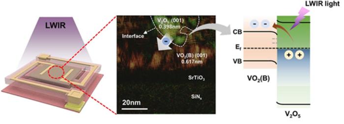 Heterointerface-driven photo-electron transport in a VO₂(B)/V₂O₅ microbolometer under lwir illumination