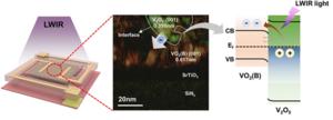 Heterointerface-driven photo-electron transport in a VO₂(B)/V₂O₅ microbolometer under lwir illumination