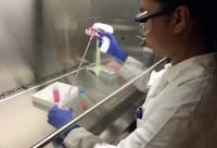 Studying Pancreatic Cancer Cells (2 of 2)