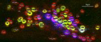 Head Region of Genetically Modified C. elegans Designed to Allow Researchers to Identify Neurons