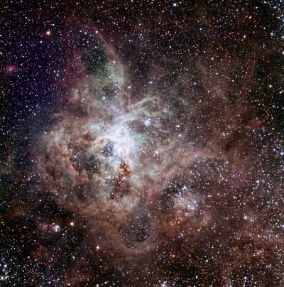 TRAPPIST First Light Image of the Tarantula Nebula