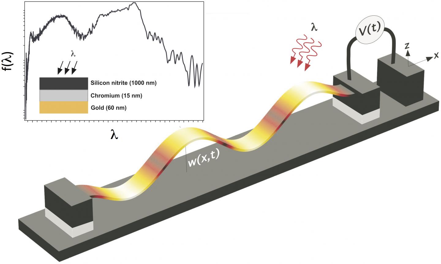 A Conceptually Designed Sensor