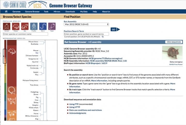 Genome Browser
