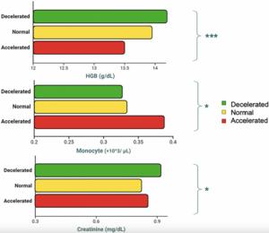 Developing a quantitative estimate of muscle age acceleration by a novel phenotypic clock: cross-sectional study in healthy, middle-aged and older adults