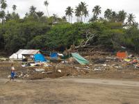 Tsunami Destruction