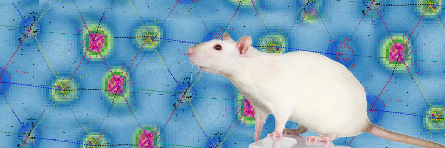 Connecting Multiple Spatial Scales to Decode the Population Activity of Grid Cells (1 of 3)