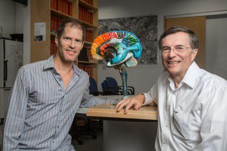 David Peterson and Terrence Sejnowski, Salk Institute 