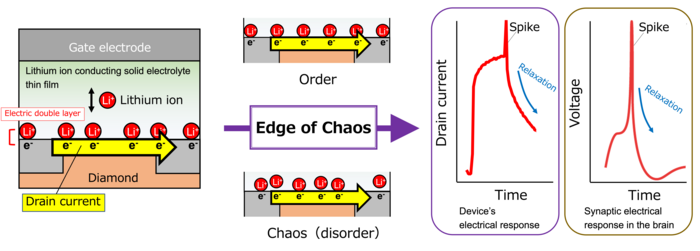 Developed AI device