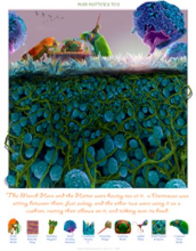 2008 Science and Engineering Visualization Challenge Winners Announced (1 of 3)