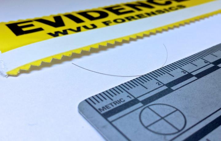 Hair Strands Could Reveal Lifestyle Secrets of Criminals