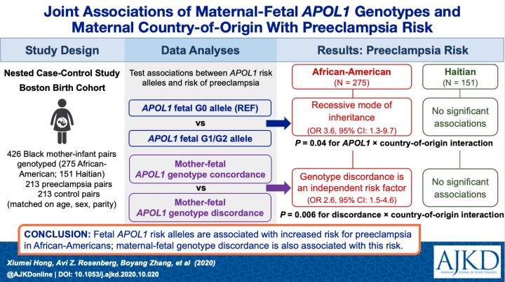 Joint Associations of Maternal-Fetal APOL1 Genotypes and Maternal Country of Origin With Preeclampsia Risk