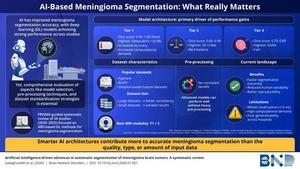 AI-Based Diagnosis of Meningiomas: Current Insights