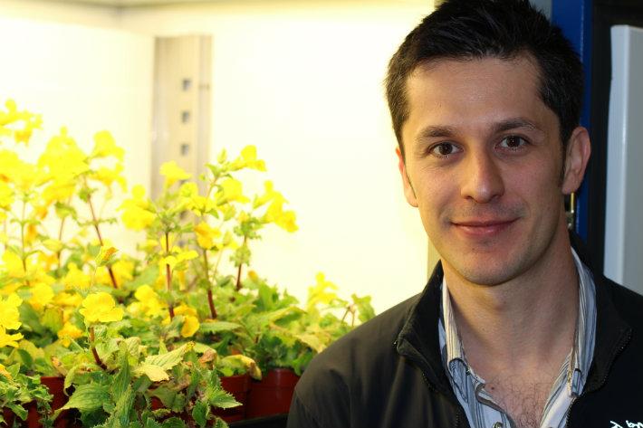 Dr. Mario Vallejo-Marin, University of Stirling