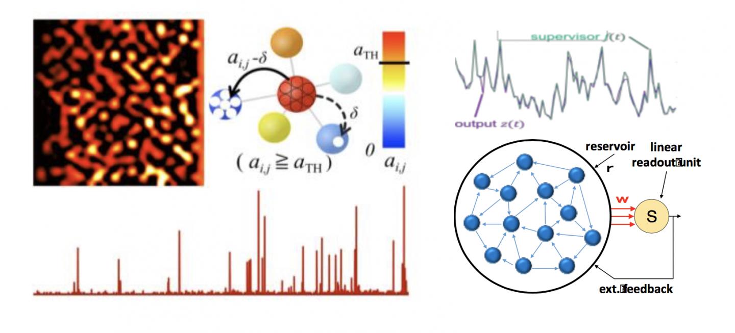 Fig.3: Molecular Network Model