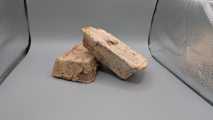 Prototype fungus bricks