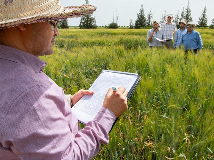 Researchers in field