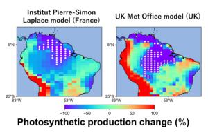 Localised Amazon dieback areas by selected Earth System Models.