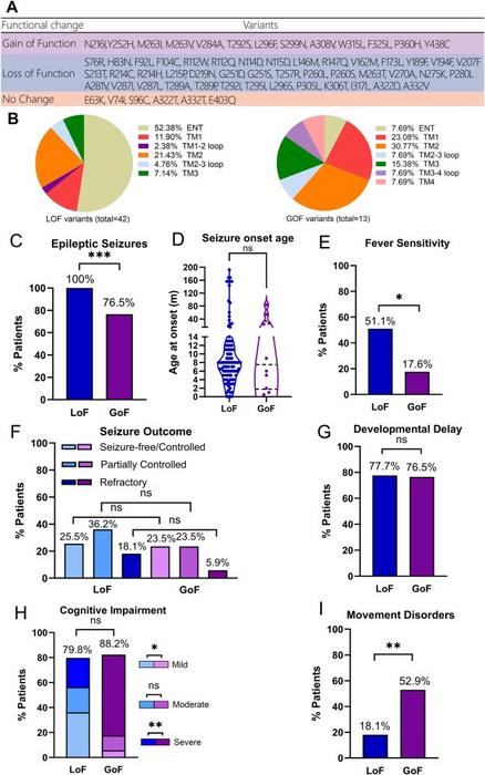 Summary of the functional and phenotypic analysis of GABRA1 variants