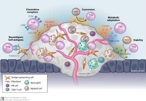 Chemokine-receptor networks driving tumor immune escape