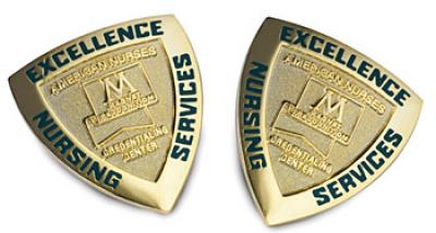 Magnet Award