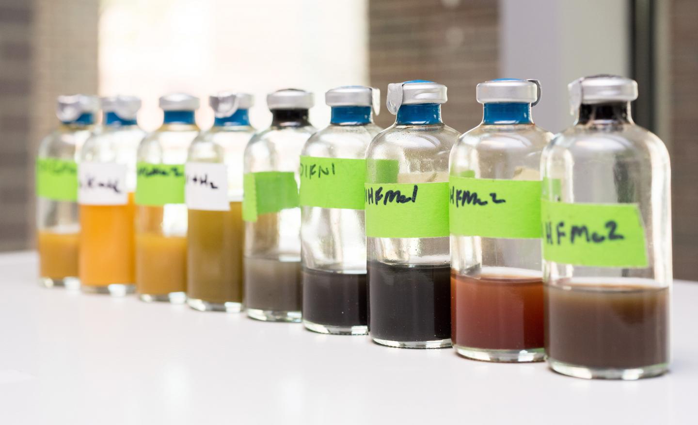 Incubating Microbes to Study Early Earth