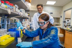 A DNA-Organizing Protein Offers New Insight into Infertility, IVF and Generational Health