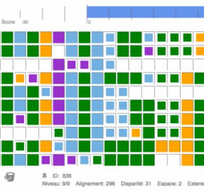 Phylo -- An Online Genomics Puzzle Game