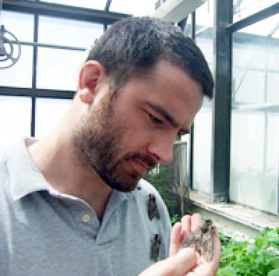 Ian Kaplan