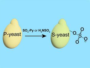 Sulfated yeast