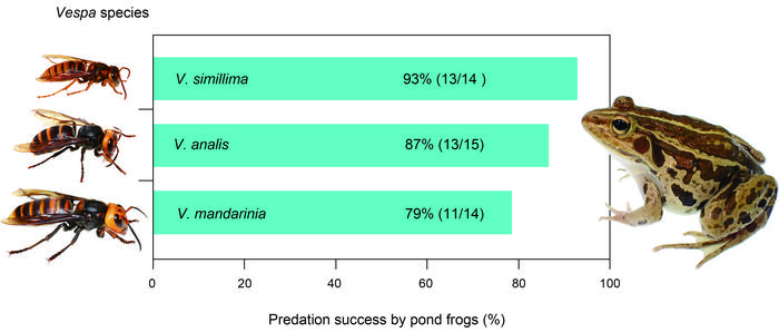 251204-Sugiura-Stings-Stats