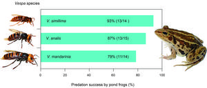251204-Sugiura-Stings-Stats