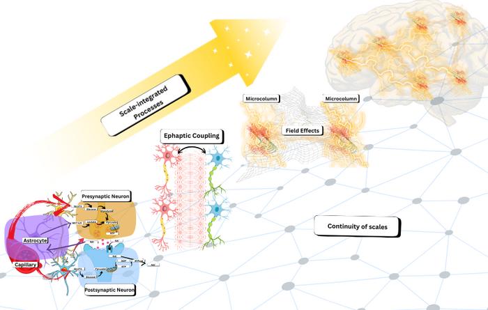 Biological computation is complex