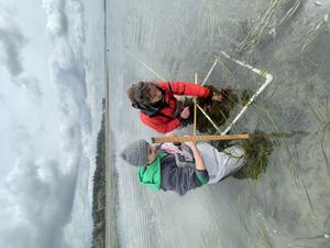 Eelgrass fieldwork