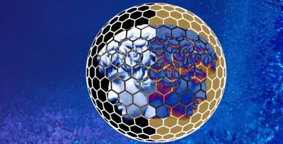 Janus Nanoparticle