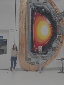 Cross-section model of the DIII-D tokamak.
