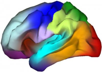 Brain Atlas
