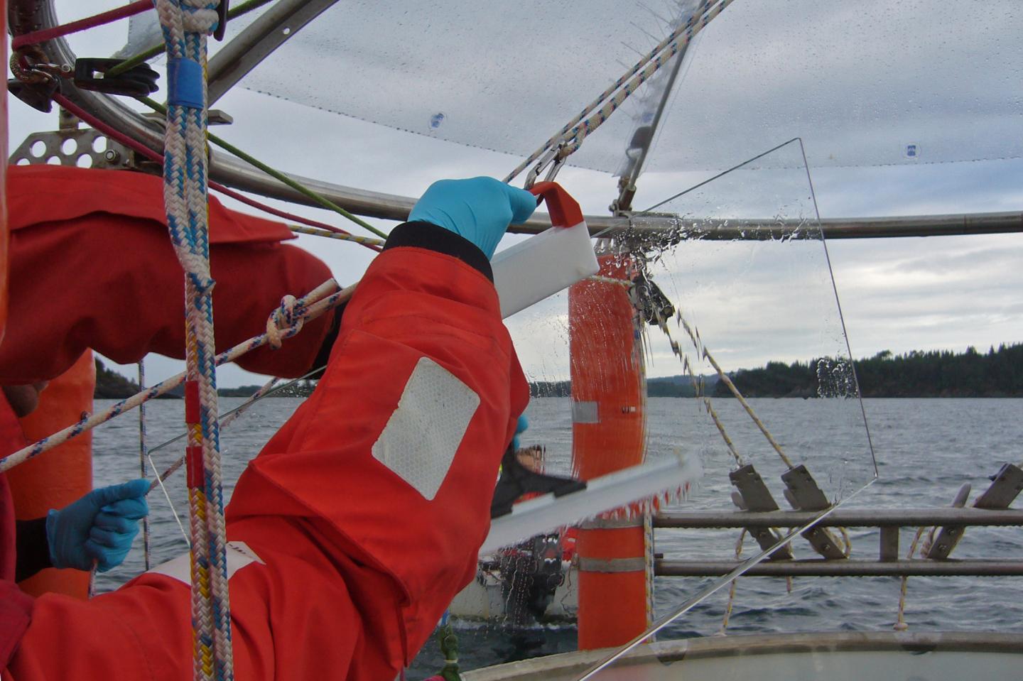 Microlayer Sampling
